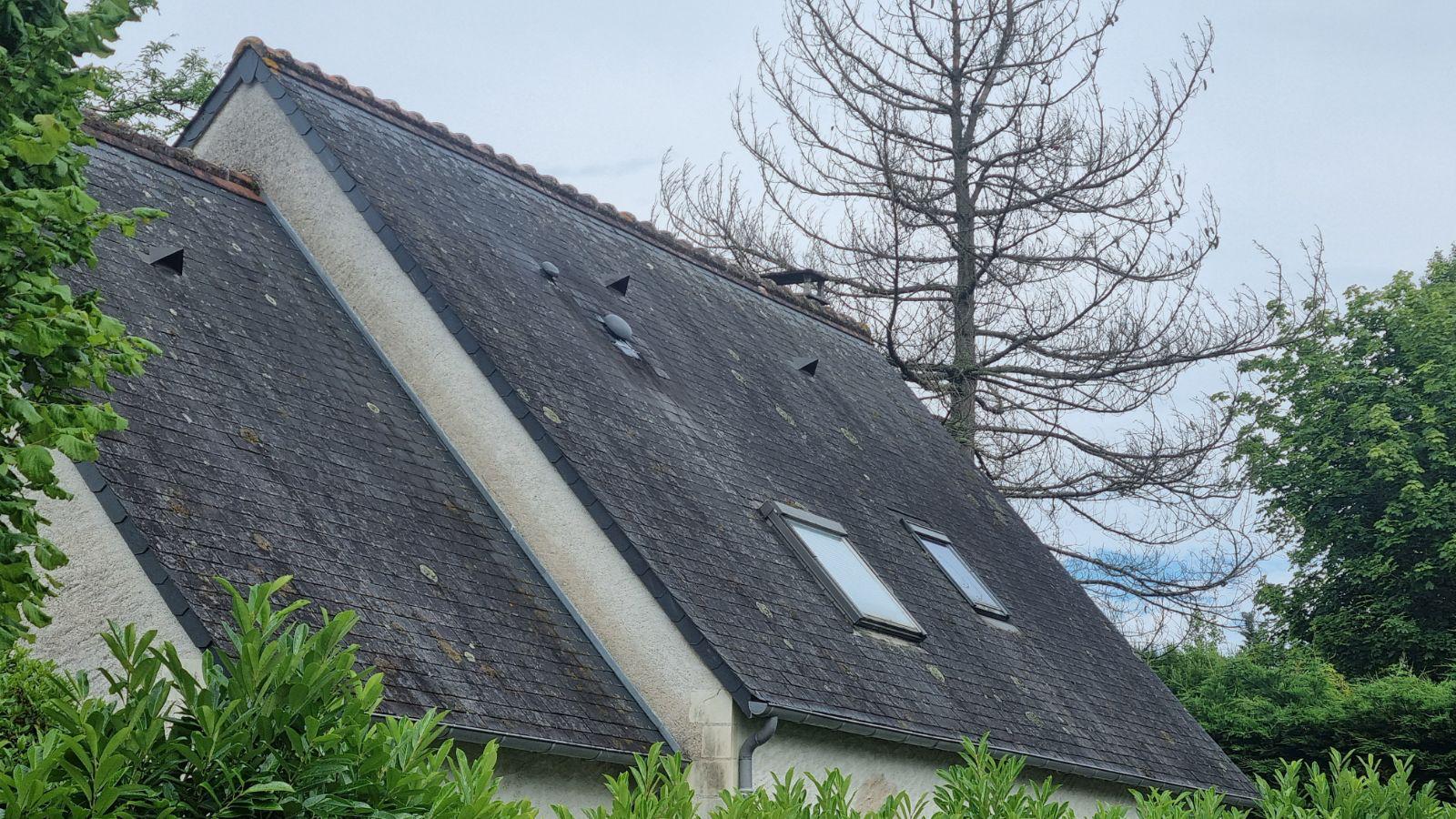 Toiture envahie de mousse et de lichen avant démoussage